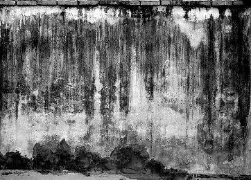 索尼公布PS5玩家最爱游戏 《战神5》《Stray》获奖