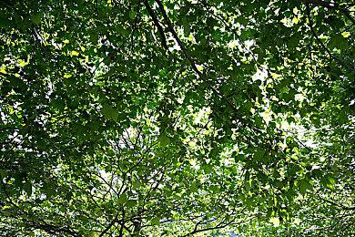 CSGO2饰品继承吗？csgo起源2会不会继承饰品？